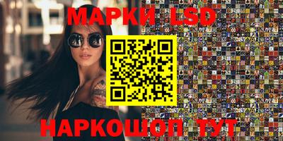 сатива Ставрополь