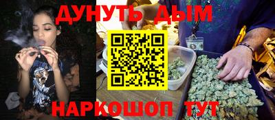 сатива Ставрополь