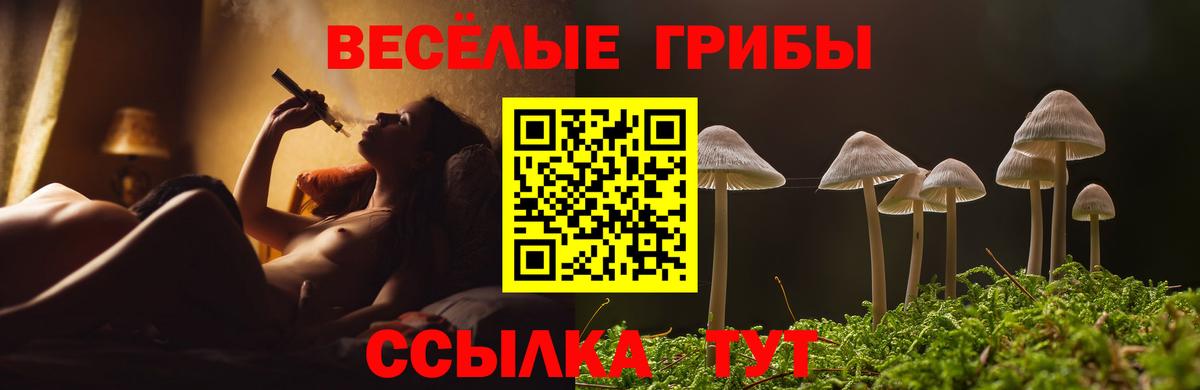 Галлюциногенные грибы Cubensis  Вход с VPN  купить закладку  Отрадный 